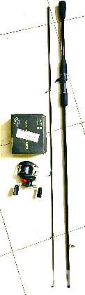 Fishing rod reel